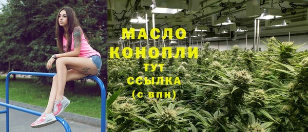 мдпв Краснослободск