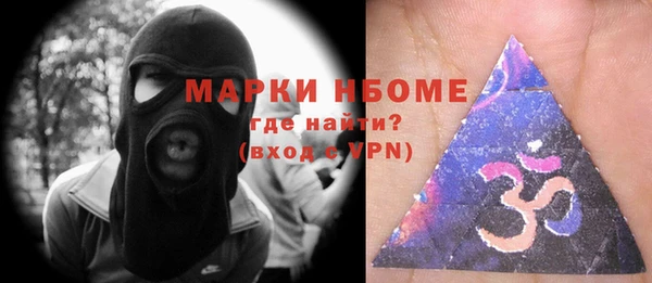 мдпв Краснослободск