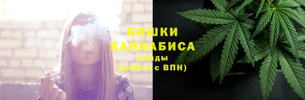 мдпв Краснослободск