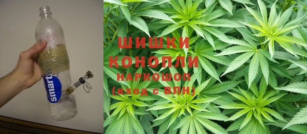 мдпв Краснослободск