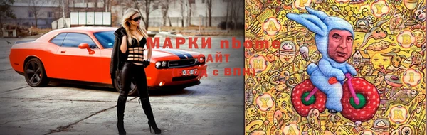 мдпв Краснослободск