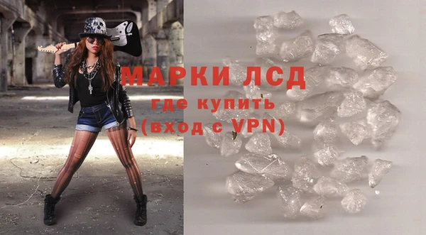 мдпв Краснослободск