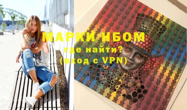 мдпв Краснослободск