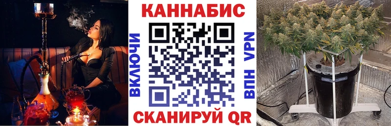 Канабис индика  Купить где  Шадринск 